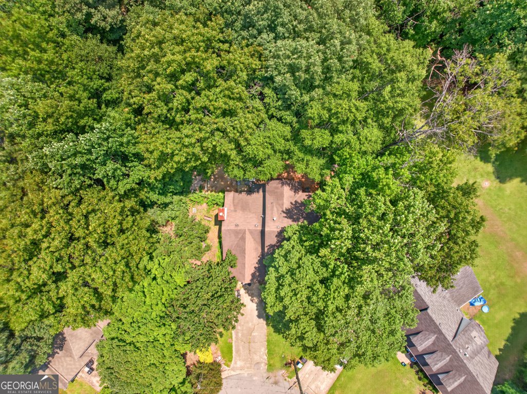 2345 Rocky Waters Trail Buford - Photo 48