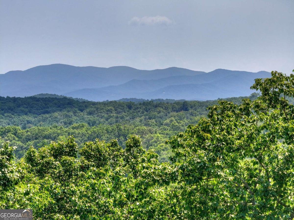 100 Boundless Trail Morganton - Photo 73