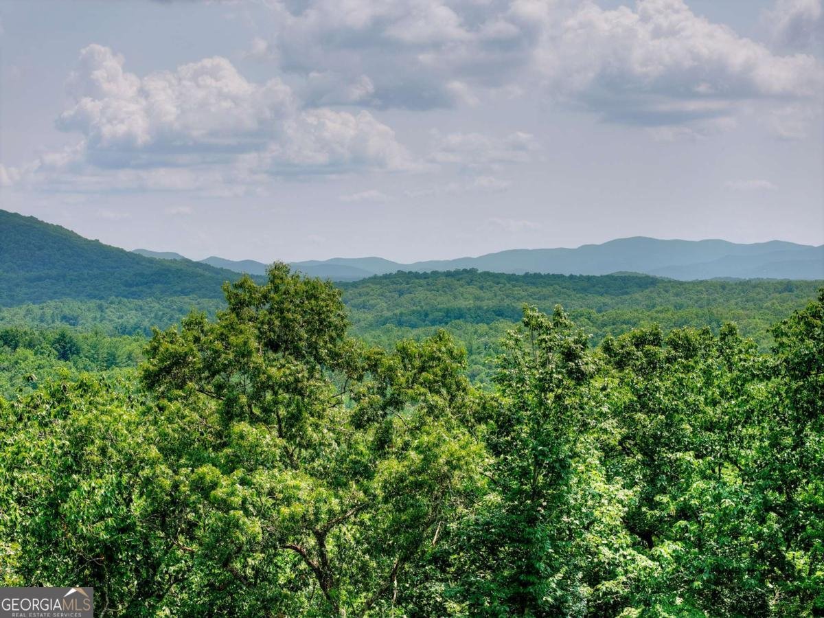 100 Boundless Trail Morganton - Photo 9