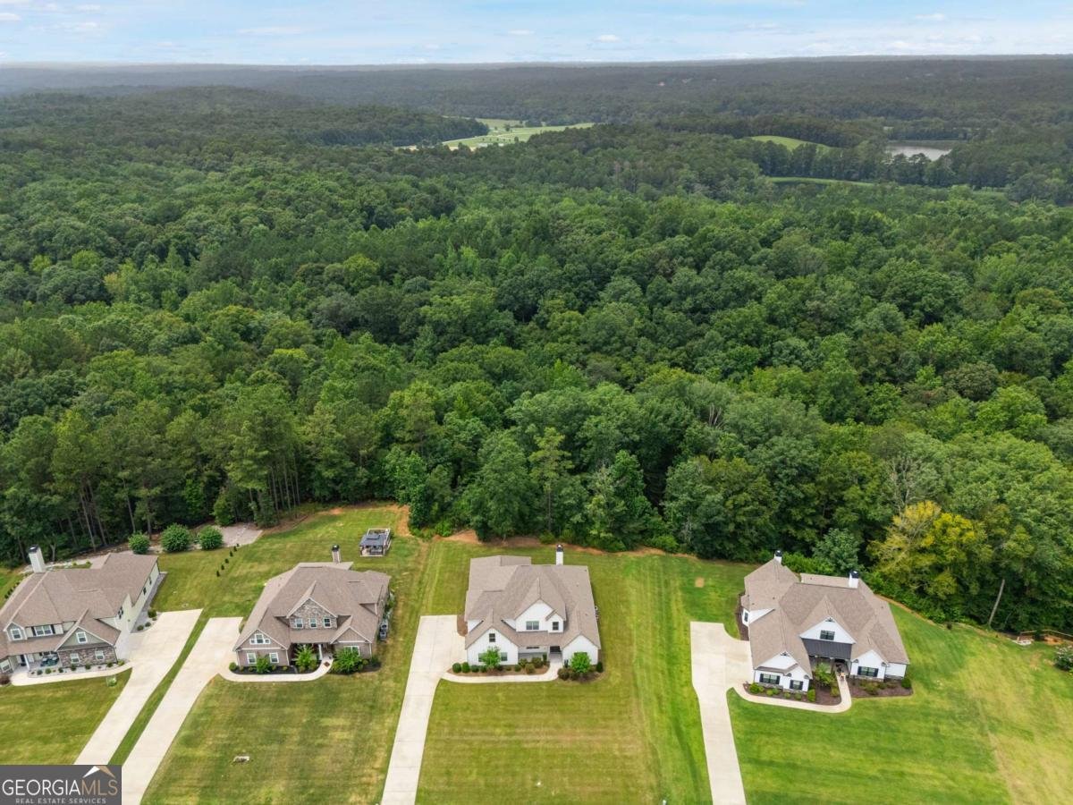 4605 Diptera Lane Fairburn - Photo 51