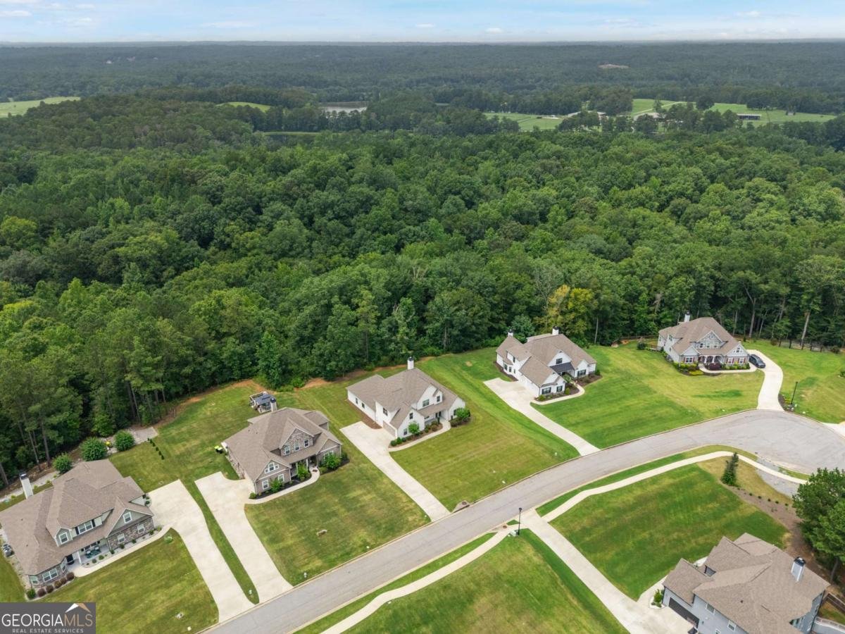 4605 Diptera Lane Fairburn - Photo 52