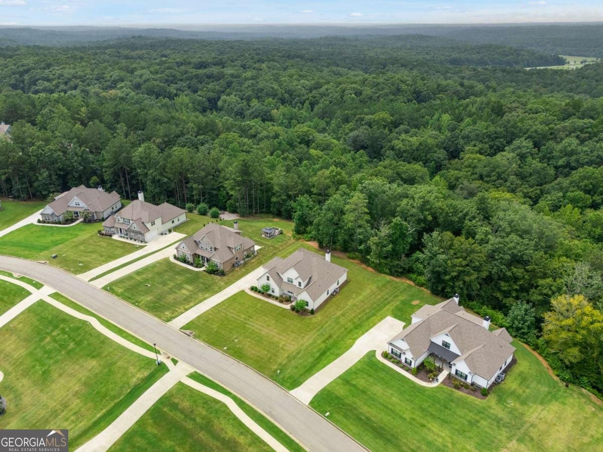 4605 Diptera Lane Fairburn - Photo 53