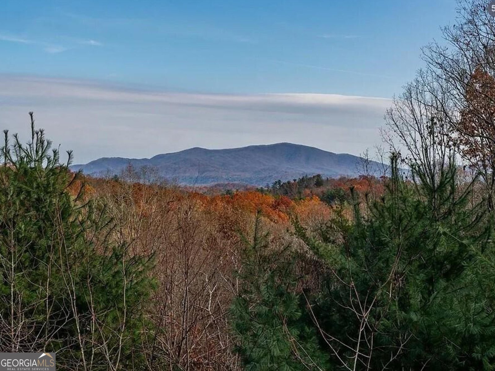 189 Trails End Ridge Ellijay - Photo 43