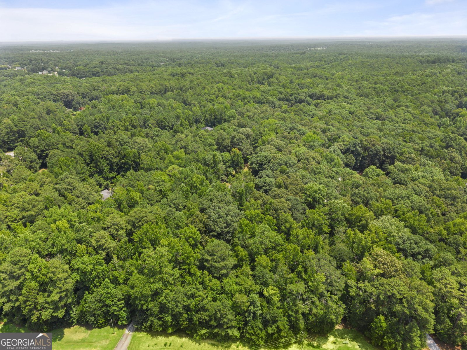 330 Mackey Road McDonough - Photo 35