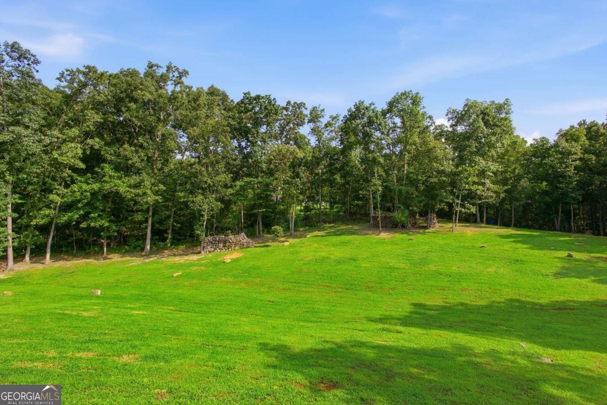 1281 Turkey Mountain Road Rome - Photo 8
