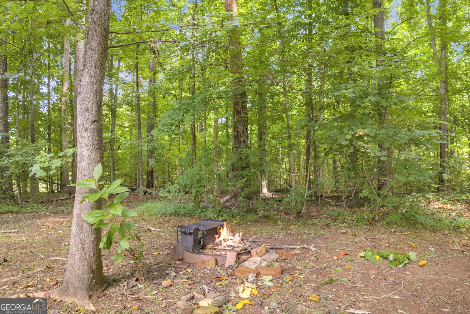 1769 Duncan Road Commerce - Photo 6
