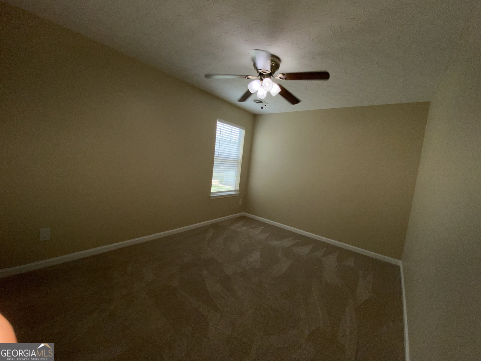 154 Parkview Place McDonough - Photo 23