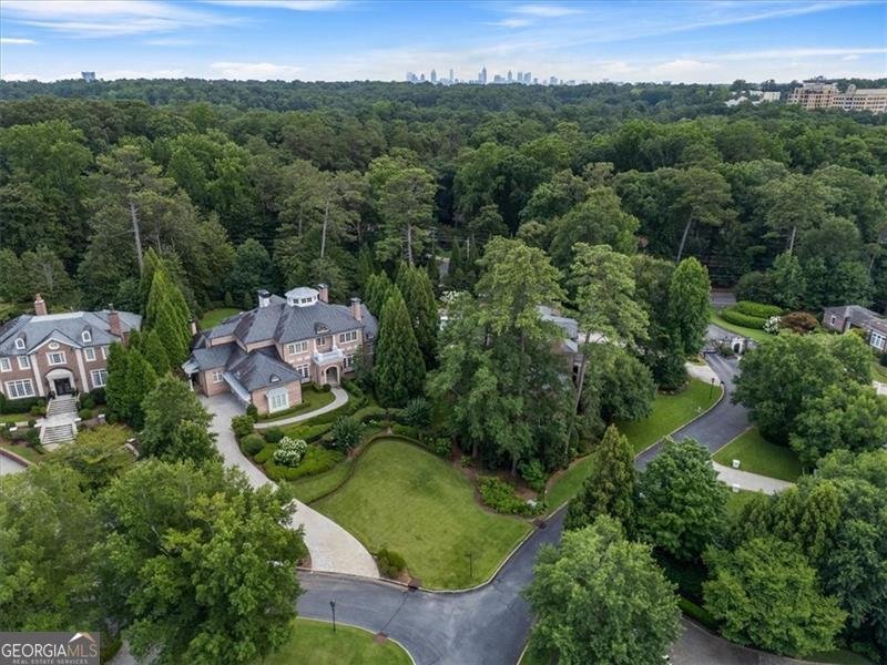 3225 Paces Park Court Atlanta - Photo 106
