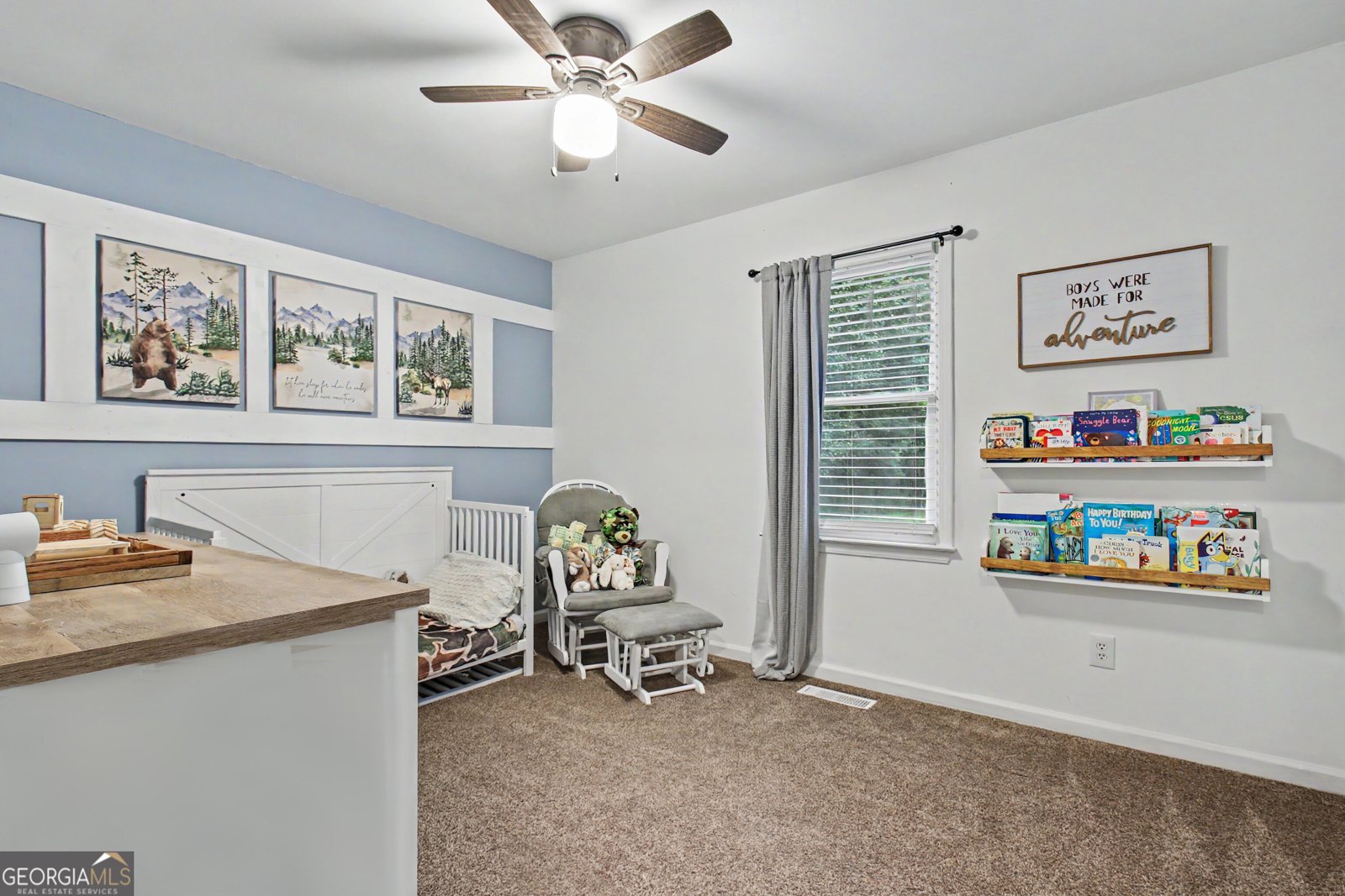 41 Mount Carmel Road Senoia - Photo 21