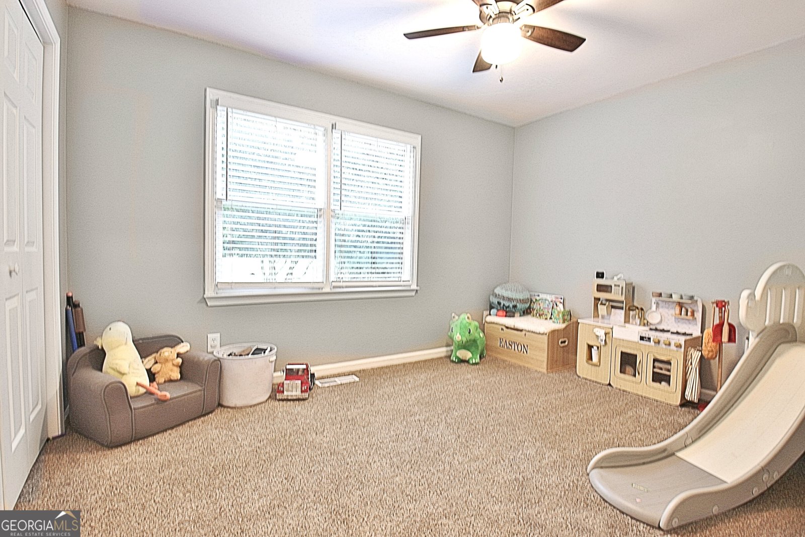 41 Mount Carmel Road Senoia - Photo 22