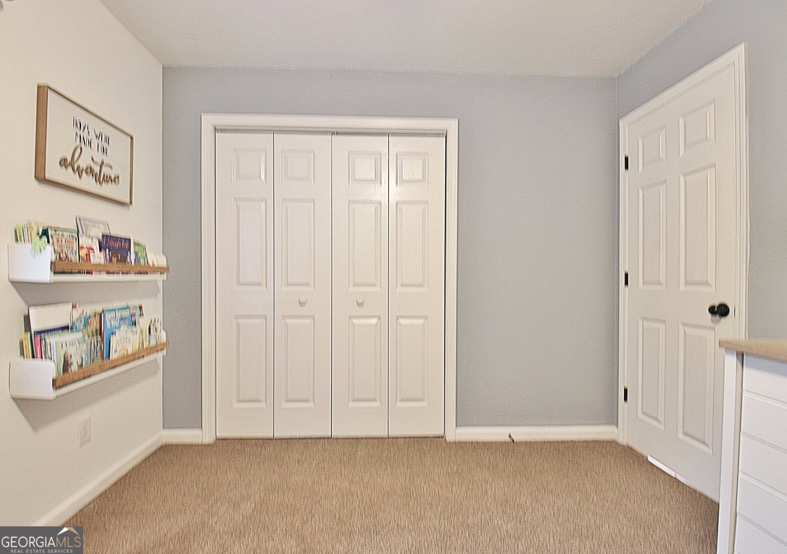 41 Mount Carmel Road Senoia - Photo 24