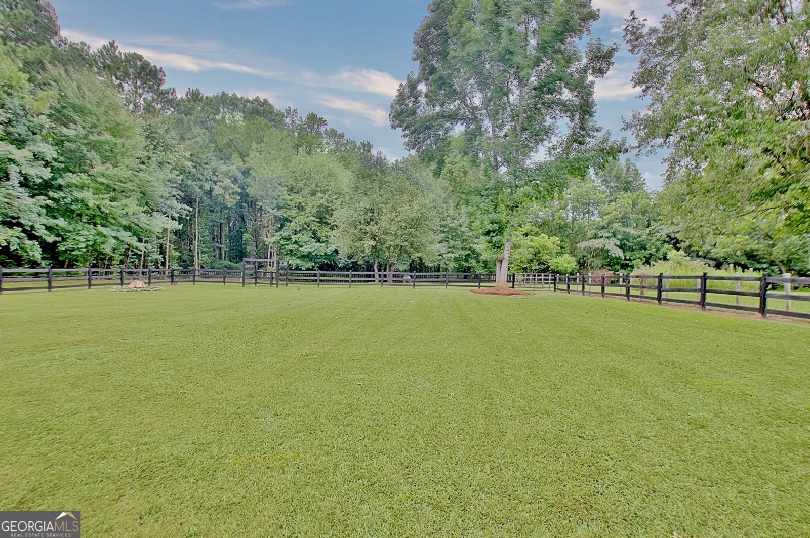 41 Mount Carmel Road Senoia - Photo 27