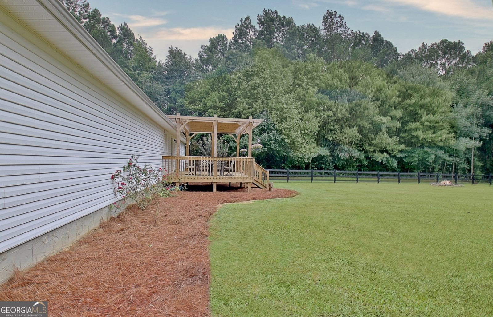 41 Mount Carmel Road Senoia - Photo 28