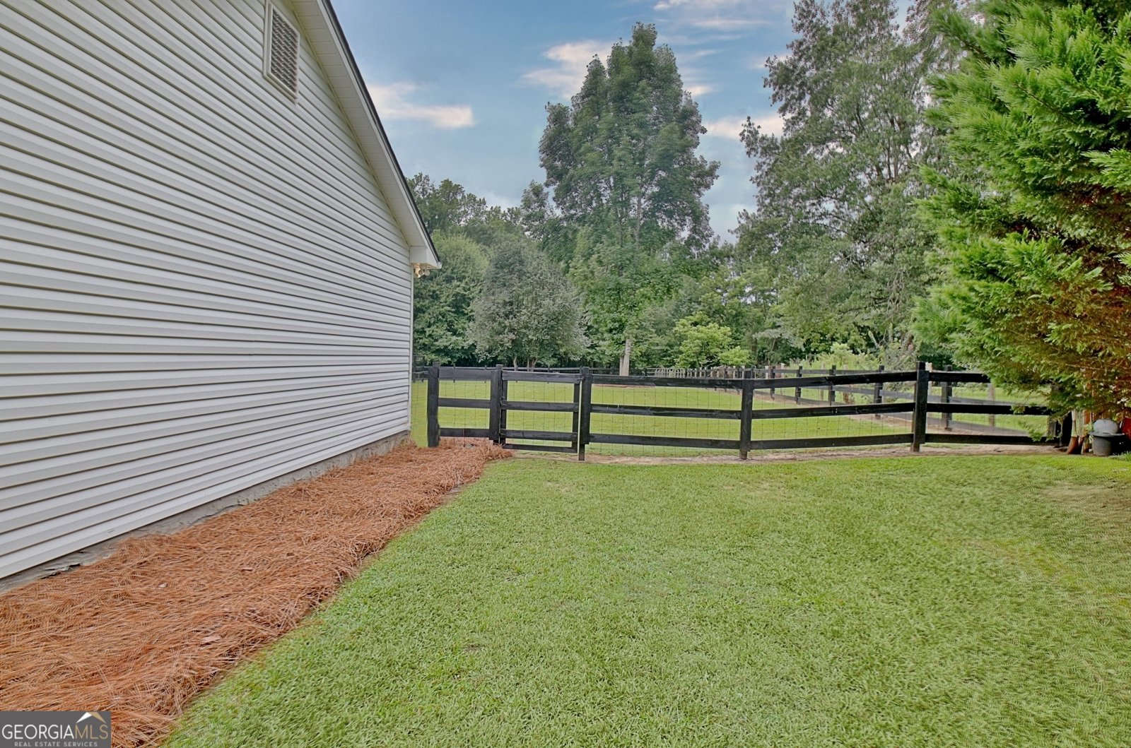 41 Mount Carmel Road Senoia - Photo 34