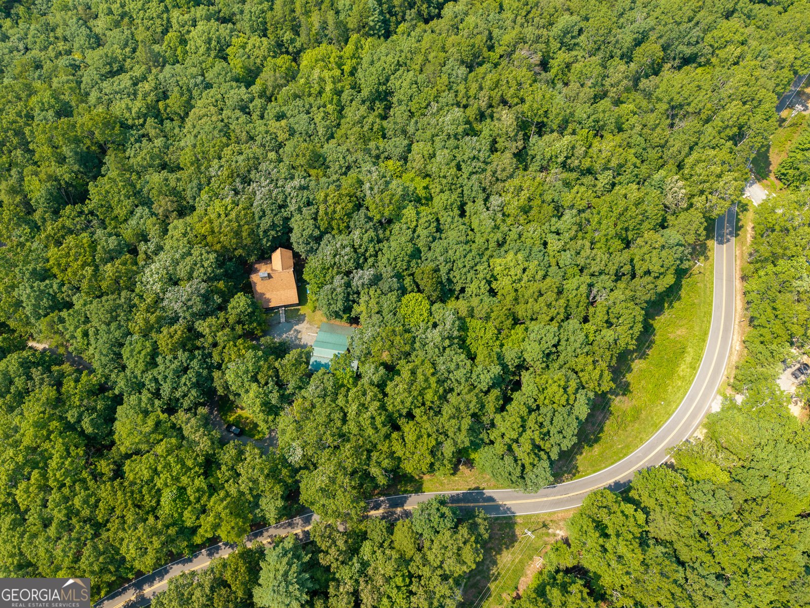 24 Indian Lake Road Mineral Bluff - Photo 68