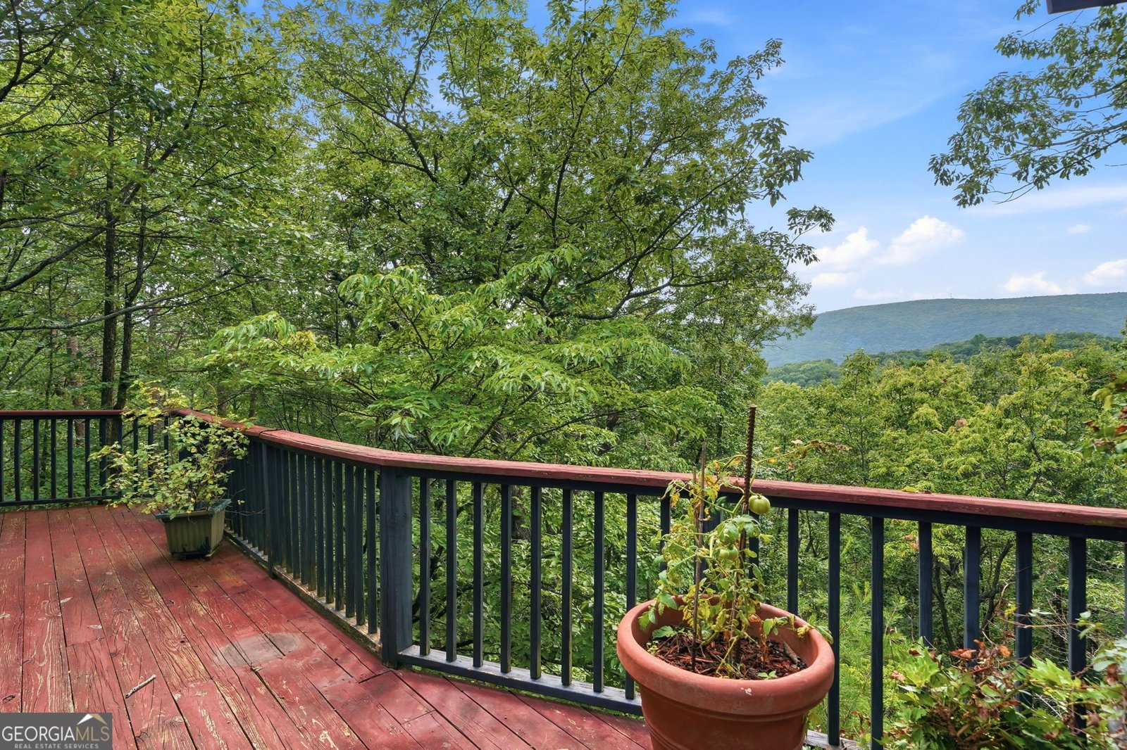 214 Ponderosa Lane Waleska - Photo 53