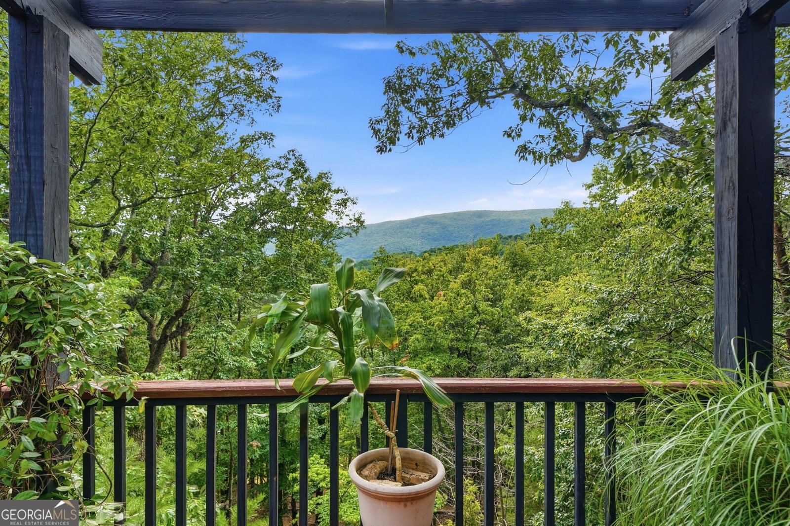 214 Ponderosa Lane Waleska - Photo 56