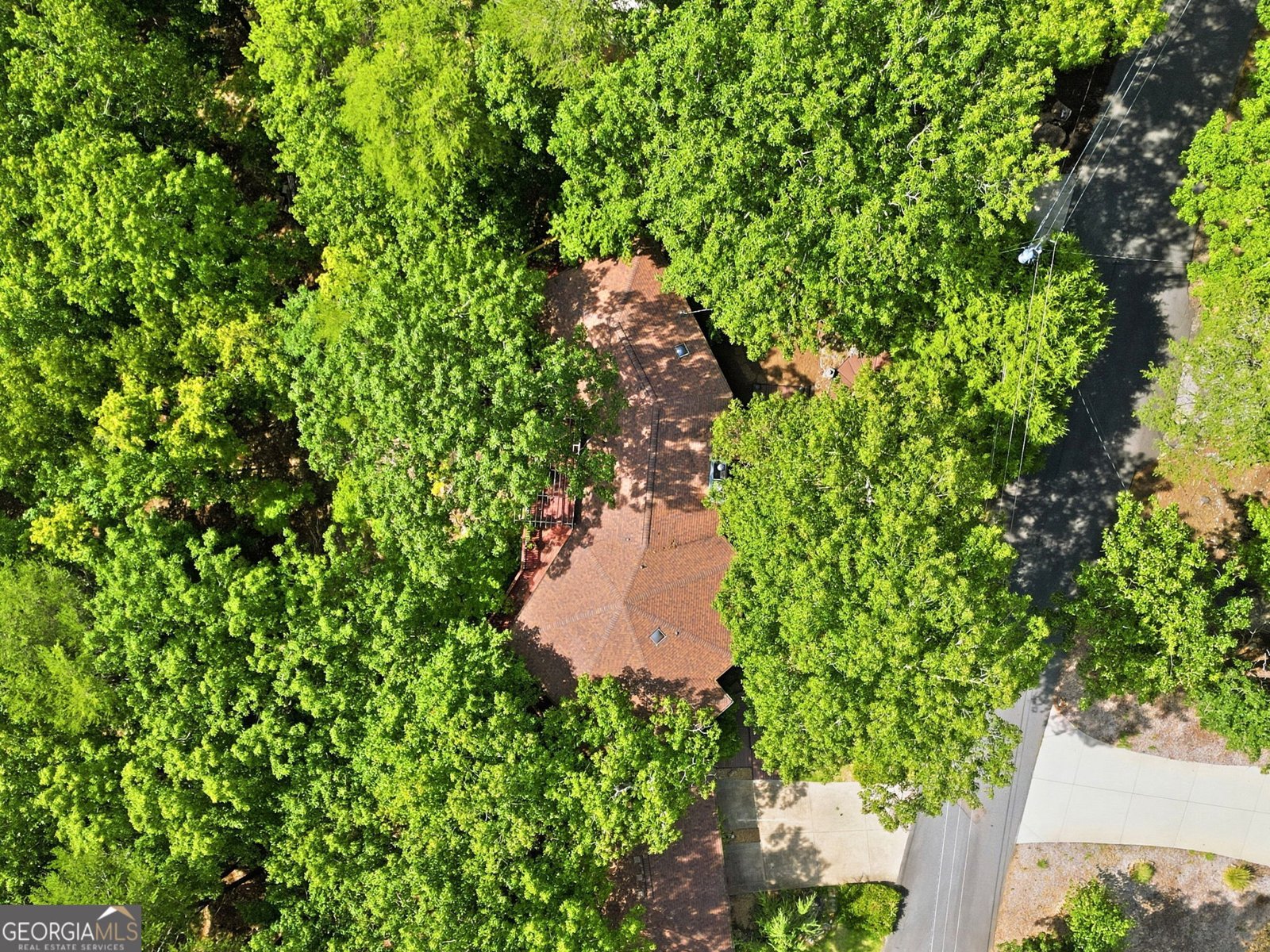 214 Ponderosa Lane Waleska - Photo 61