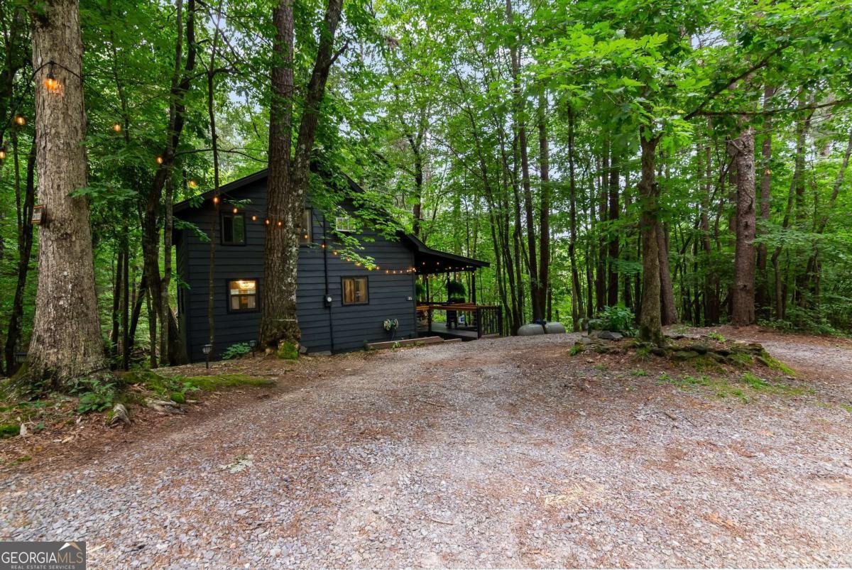 25 Nickwasi Way Blue Ridge - Photo 44