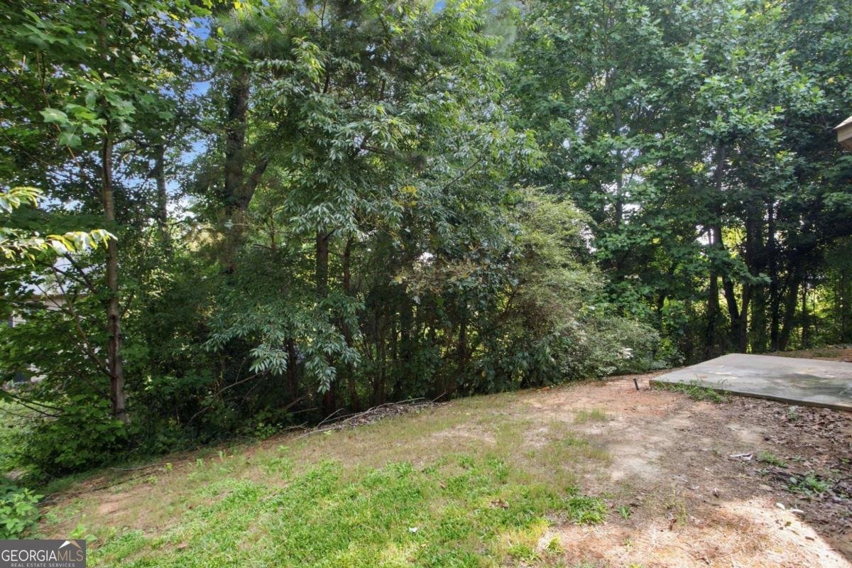 318 Corine Court Lawrenceville - Photo 31