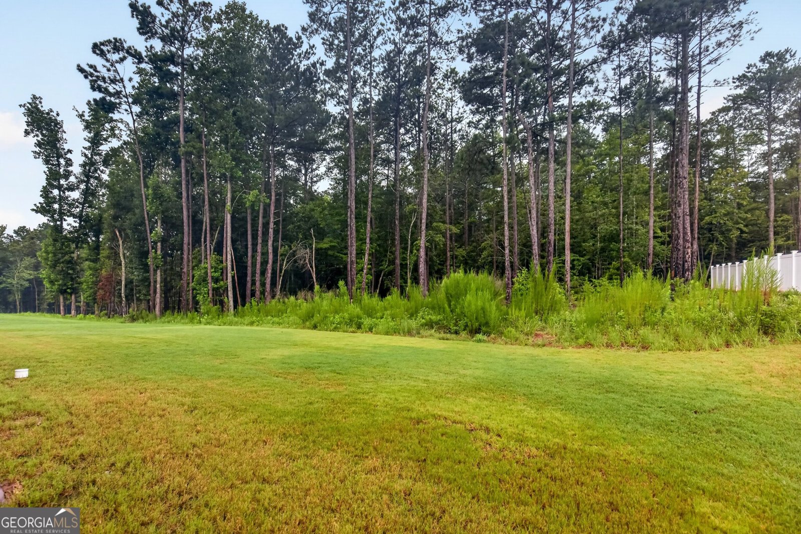 55 Sagebrook Lane Newnan - Photo 37
