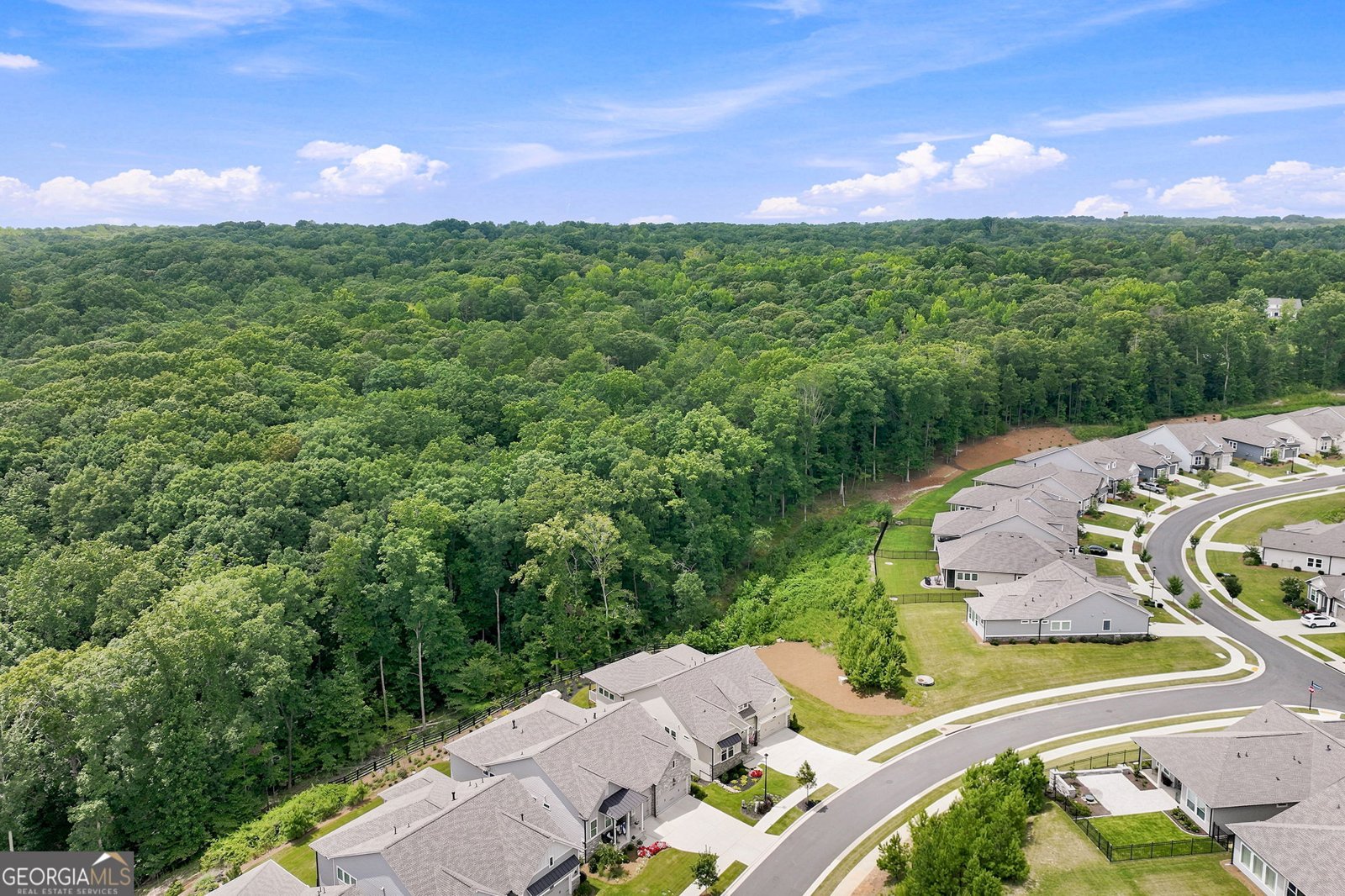 7012 Cottage Grove Drive Flowery Branch - Photo 58