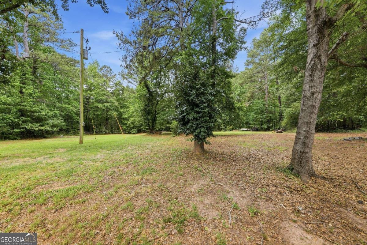 1009 Highway 85 Fayetteville - Photo 34