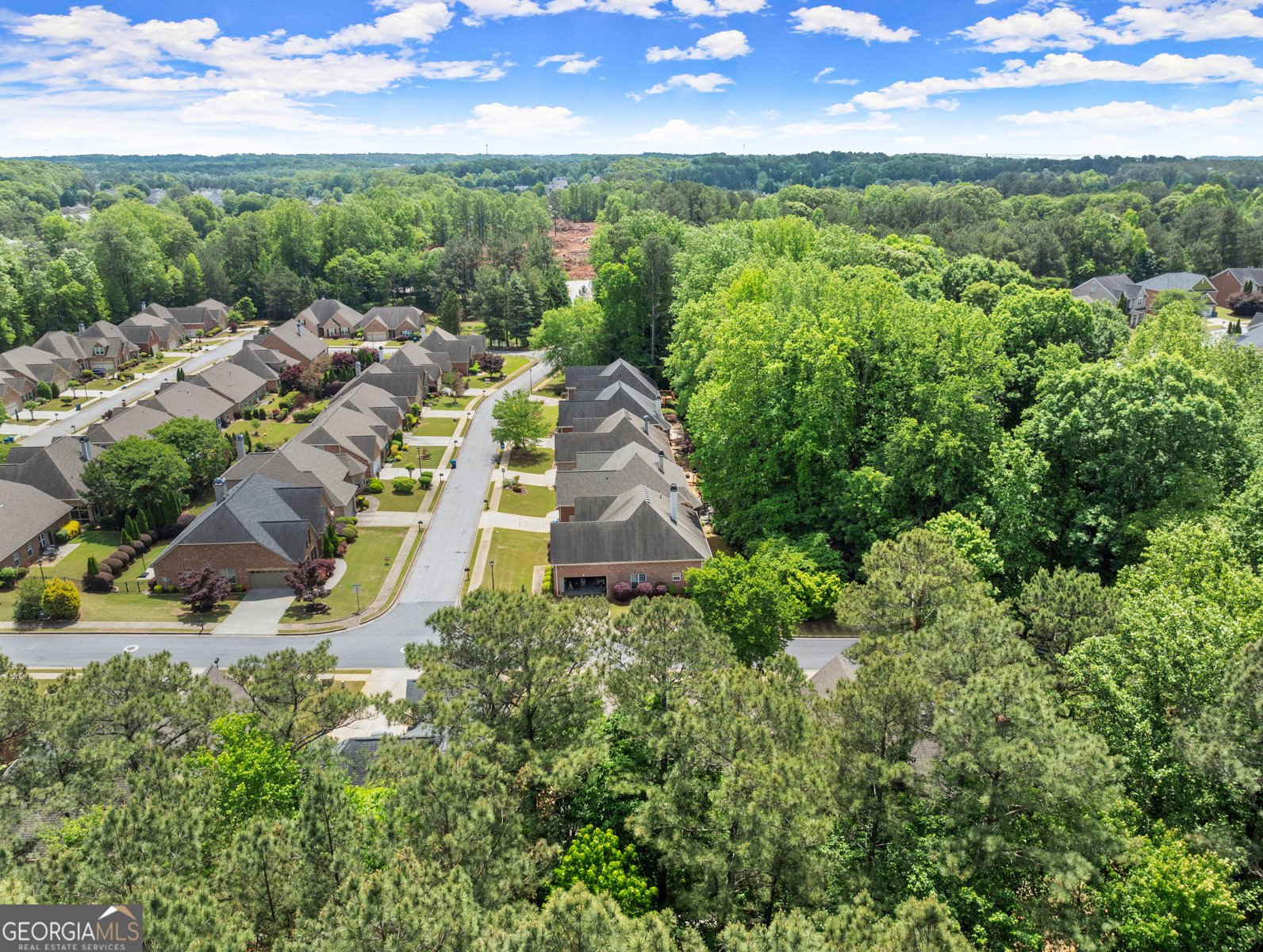 2110 Retreat Haven Lane Dacula - Photo 40