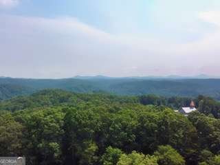 8257 Appalachian Highway Mineral Bluff - Photo 30
