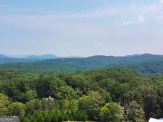 8257 Appalachian Highway Mineral Bluff - Photo 31