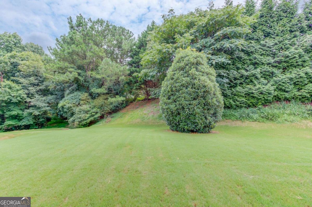1341 Blazing Star Road Lawrenceville - Photo 23
