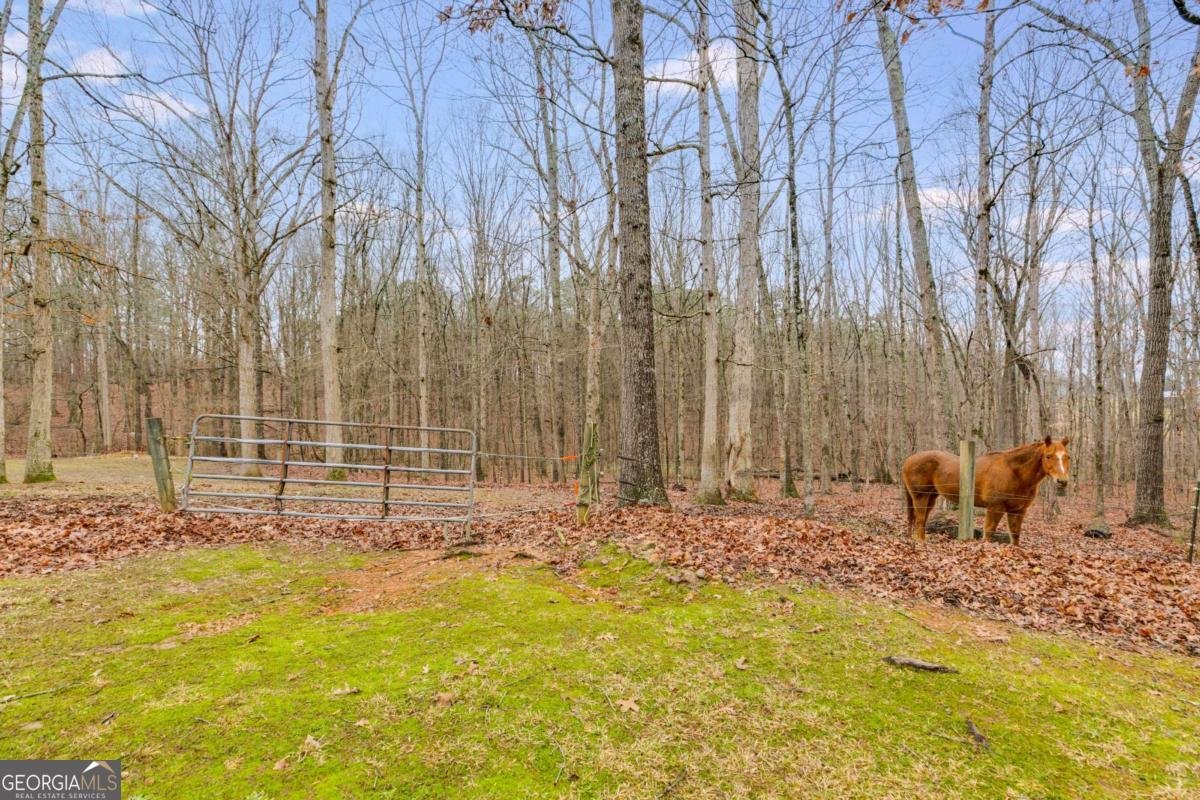 630 Stoney Point Road Bowdon - Photo 36