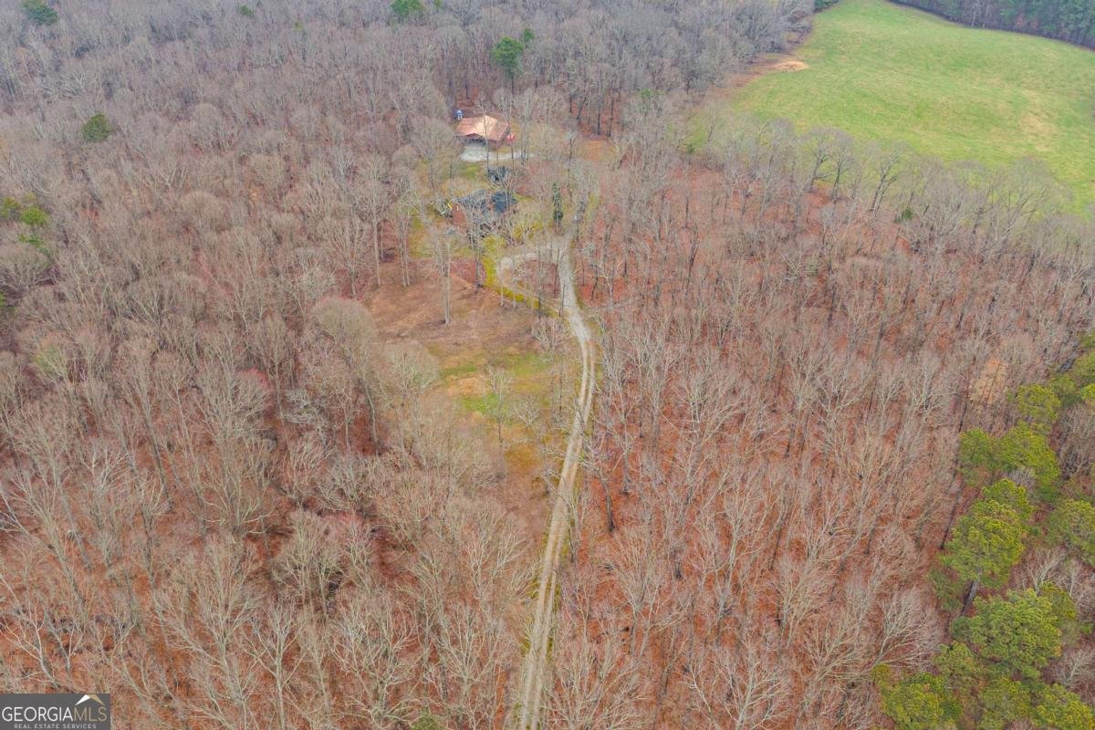 630 Stoney Point Road Bowdon - Photo 39