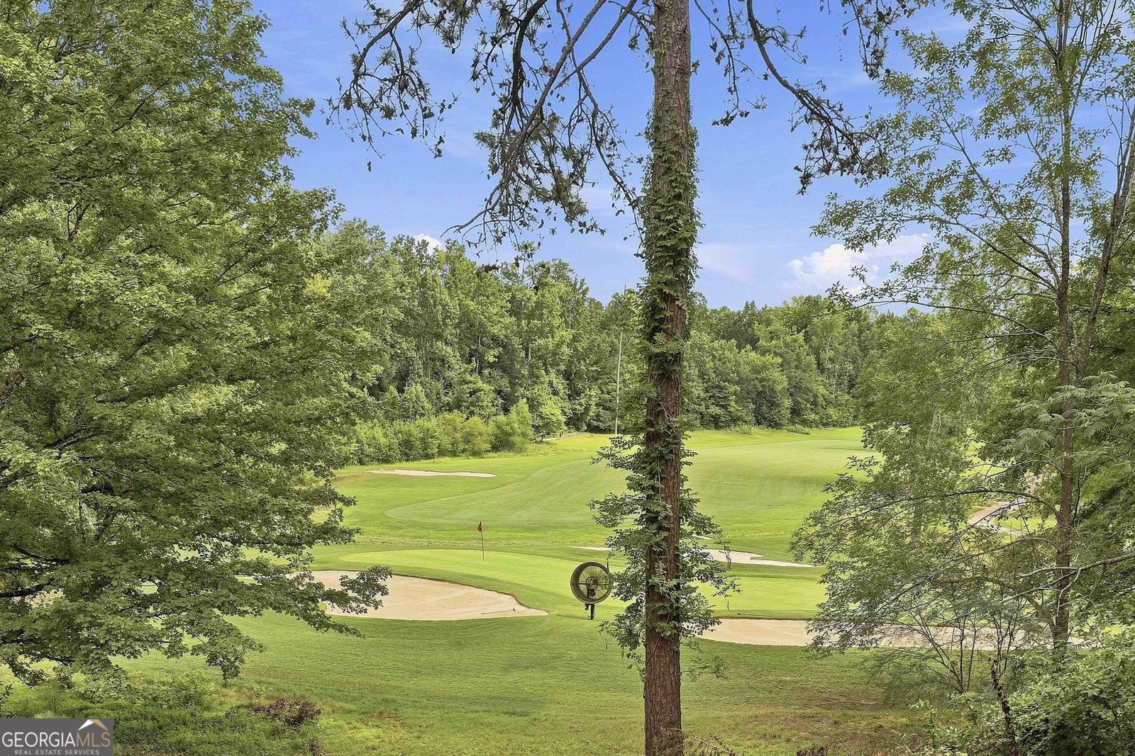 24 Buckthorne Drive Newnan - Photo 43