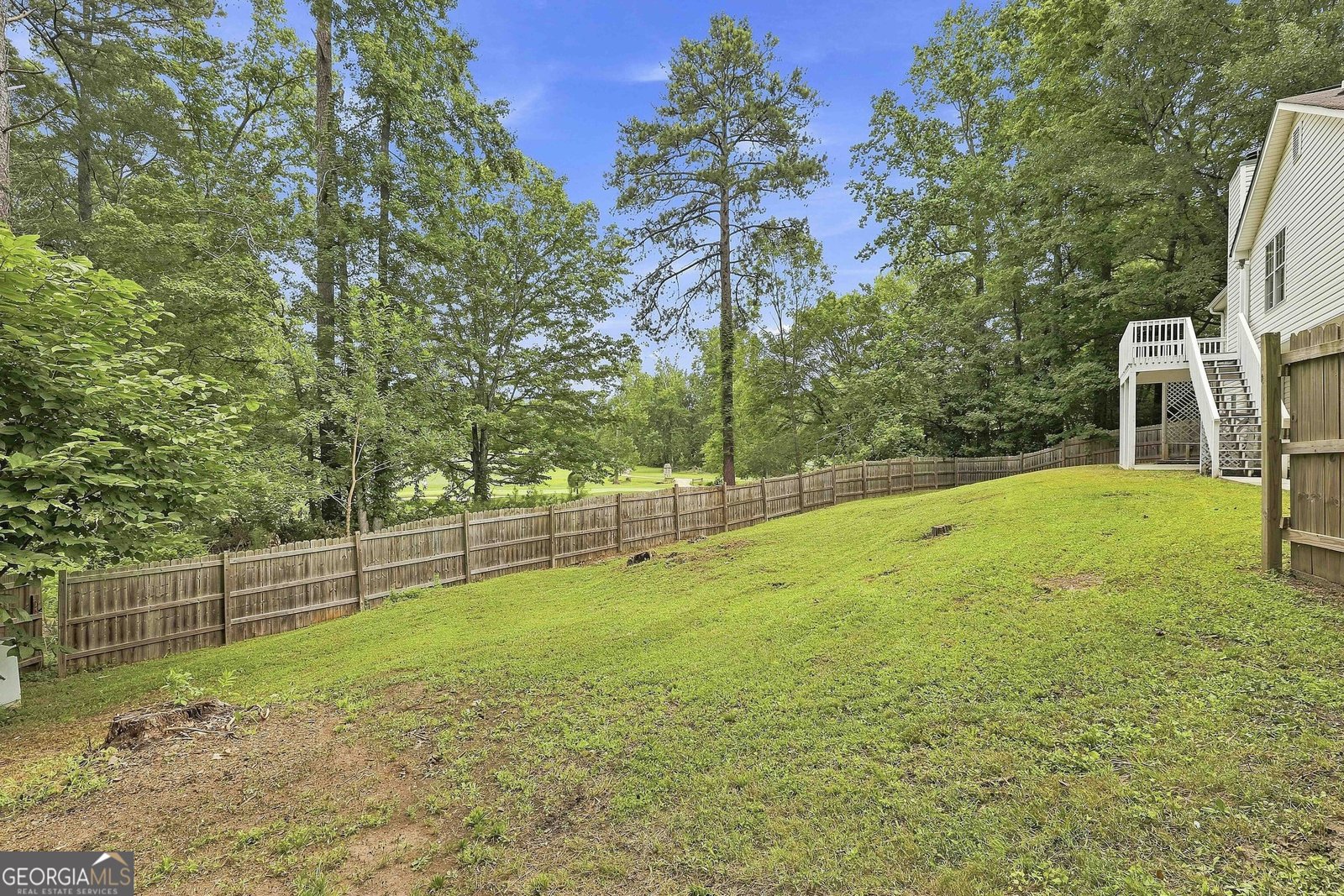 24 Buckthorne Drive Newnan - Photo 47