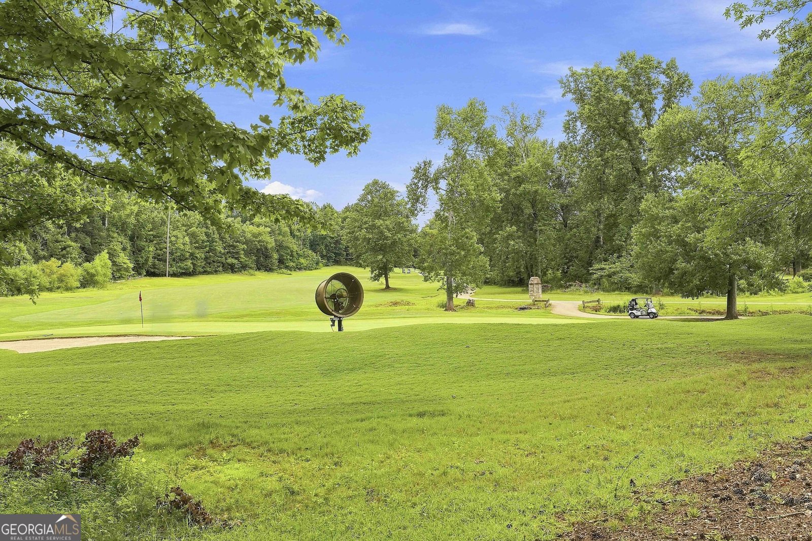 24 Buckthorne Drive Newnan - Photo 50