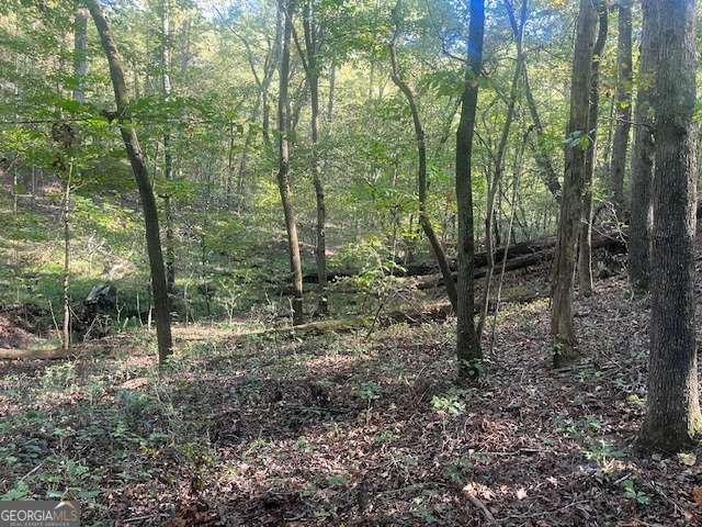 2081 Jerusalem Church Road Jasper - Photo 18