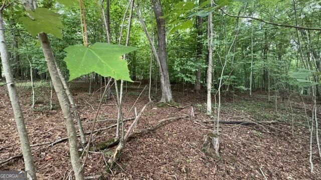 2081 Jerusalem Church Road Jasper - Photo 26