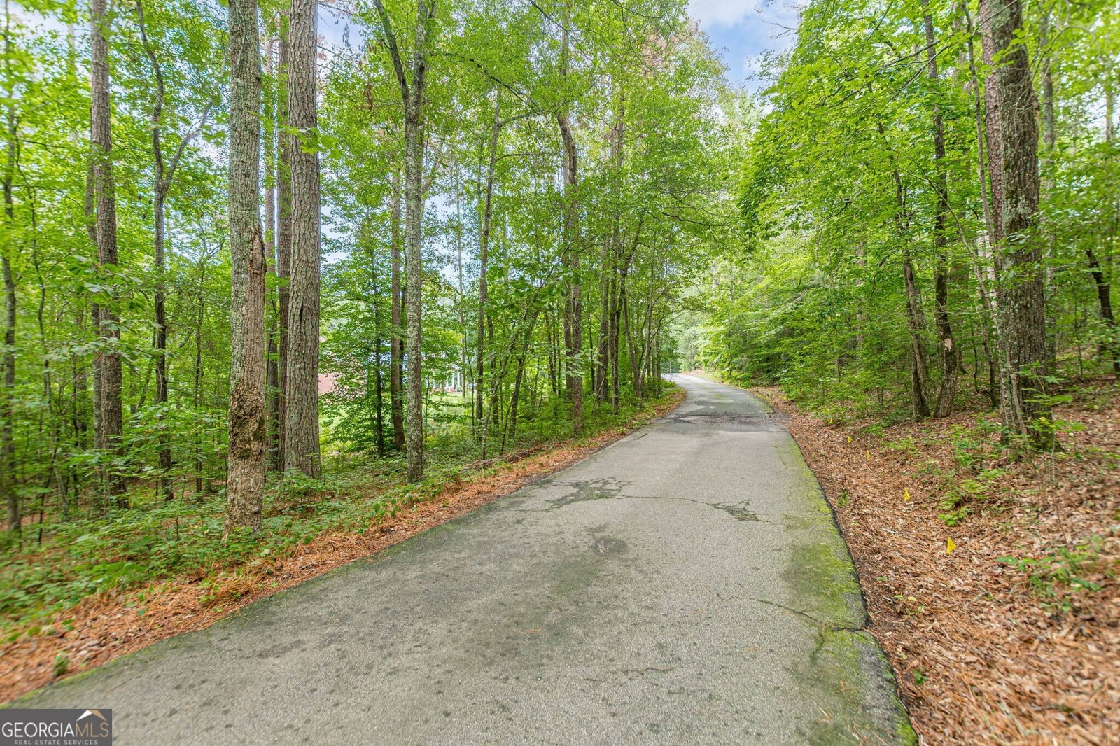 7161 Avalon Drive Douglasville - Photo 15