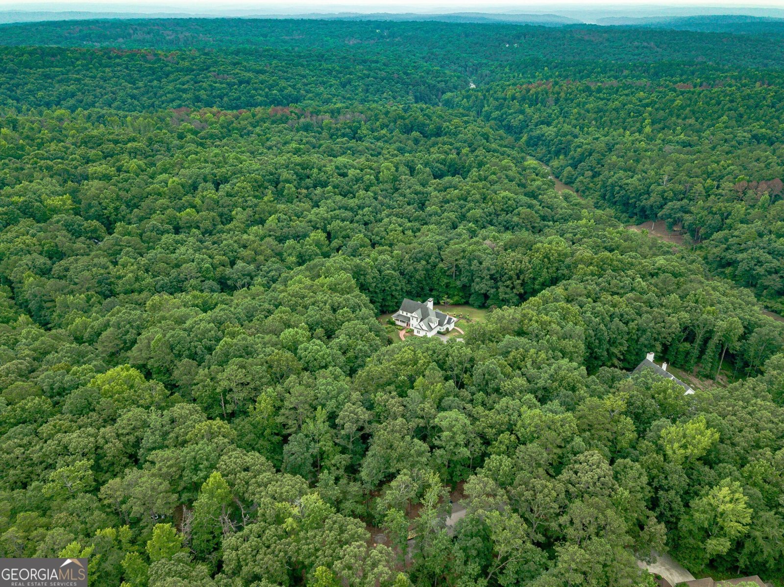 7161 Avalon Drive Douglasville - Photo 43