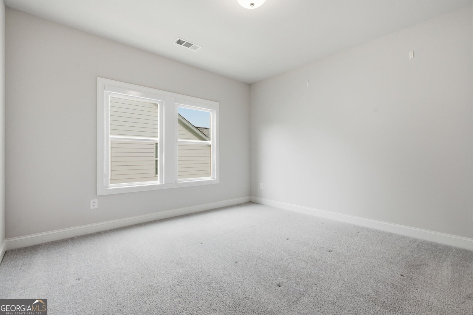 239 Mooney Road Woodstock - Photo 33