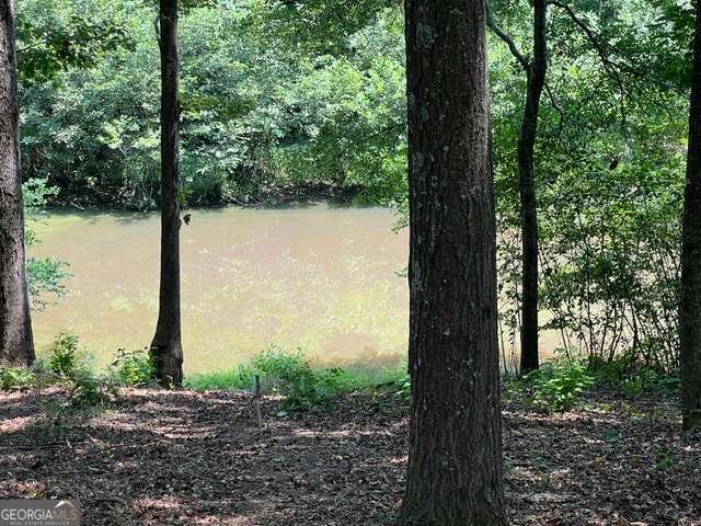 196 Old Scout Road Jackson - Photo 10