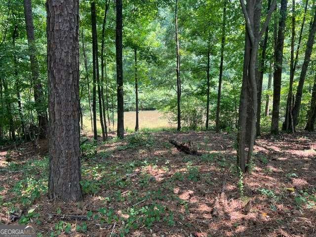 196 Old Scout Road Jackson - Photo 16