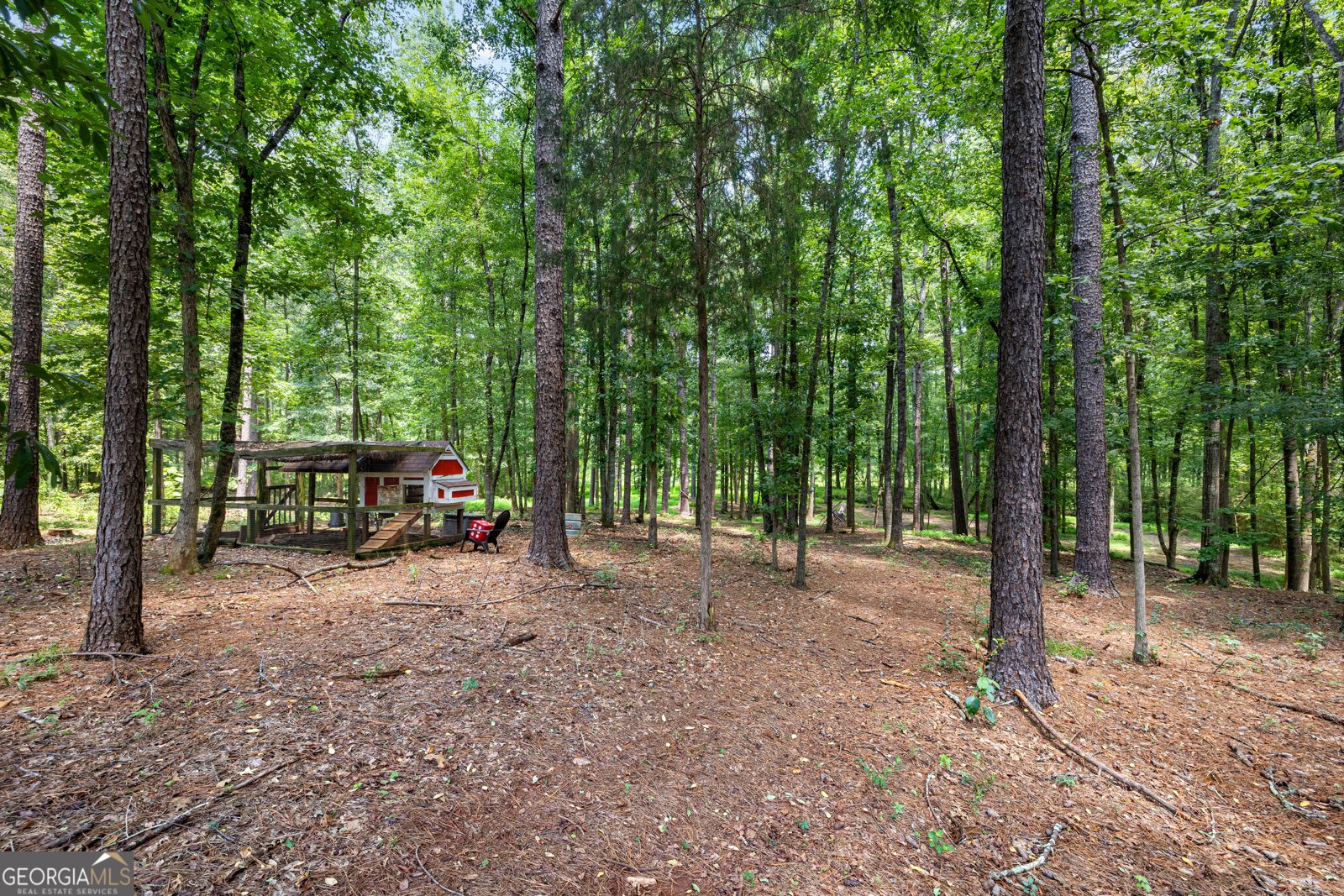318 Teasley Trail Moreland - Photo 64