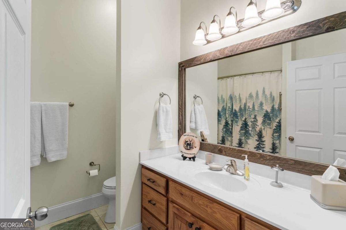 1724 Watercrest Way Young Harris - Photo 31