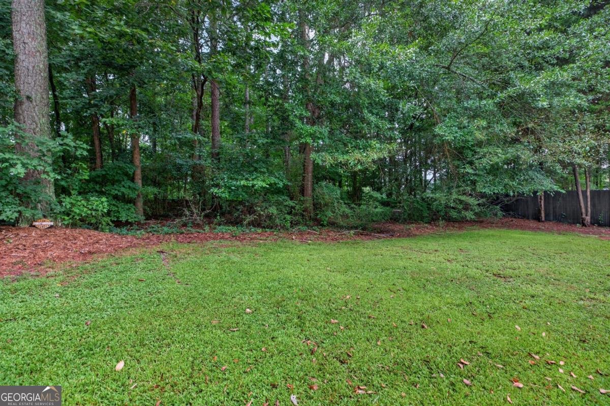 106 Bexley Lane Douglasville - Photo 33