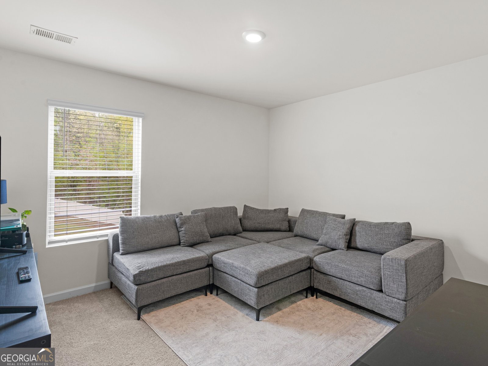 368 Noblewood Drive McDonough - Photo 21