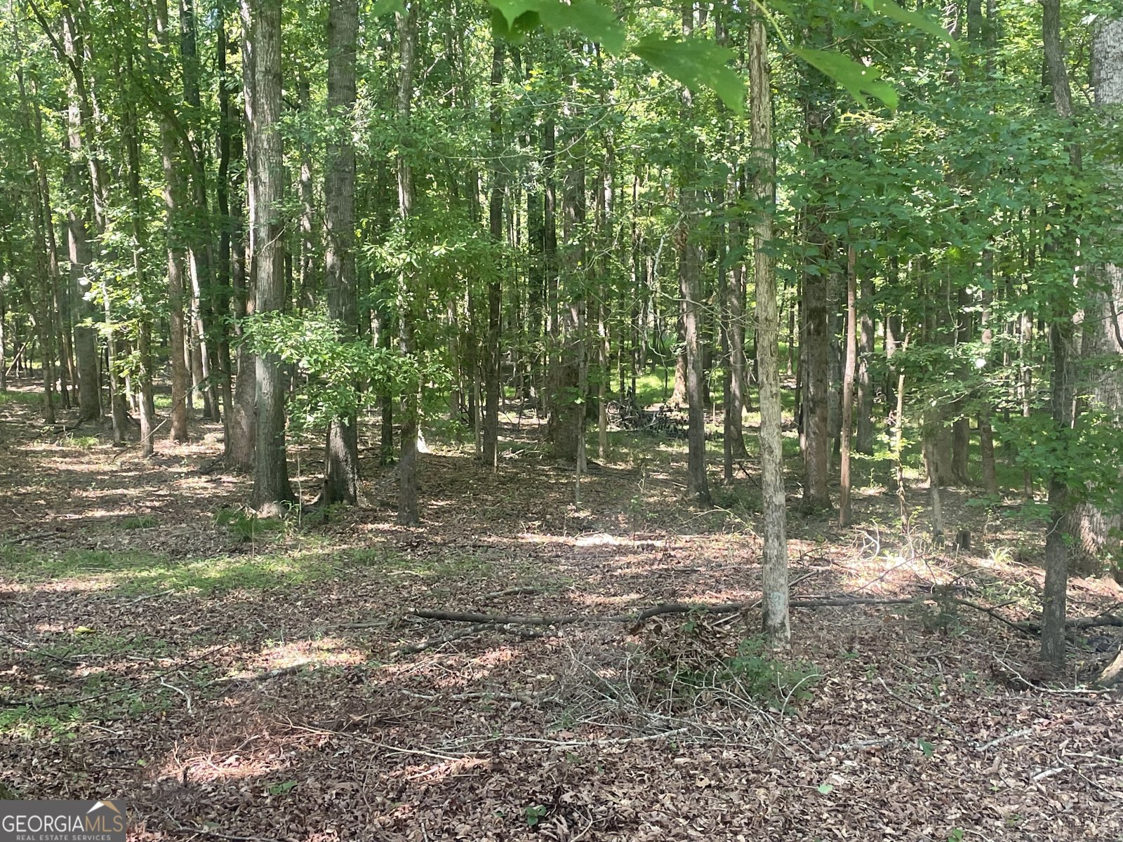 1371 Crawford Road Madison - Photo 22