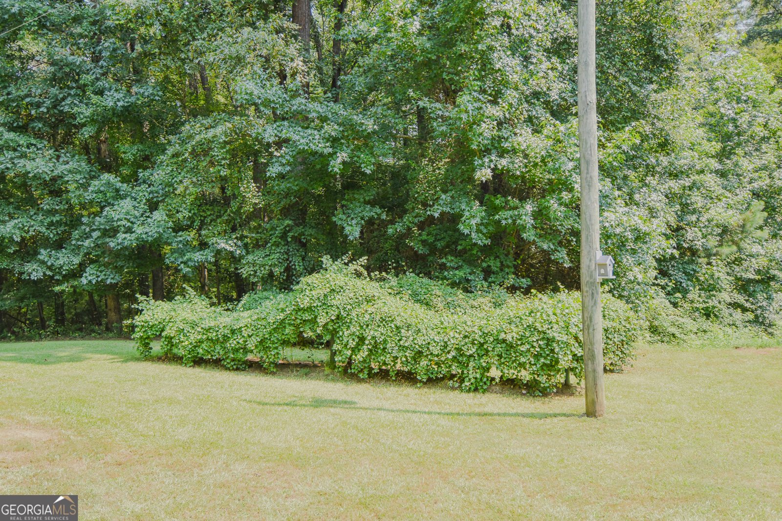 441 Campbell Road Meansville - Photo 97