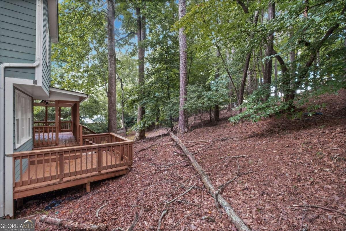3385 New Heritage Drive Johns Creek - Photo 43